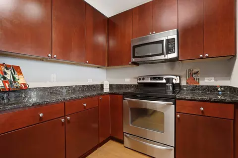 100 E 14th St #1302, Chicago, IL 60605 photo 11