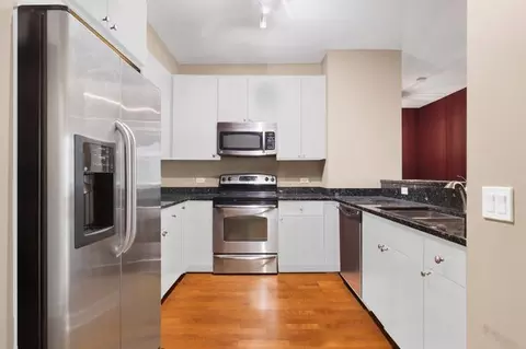 100 E 14th St #1302, Chicago, IL 60605 photo 10