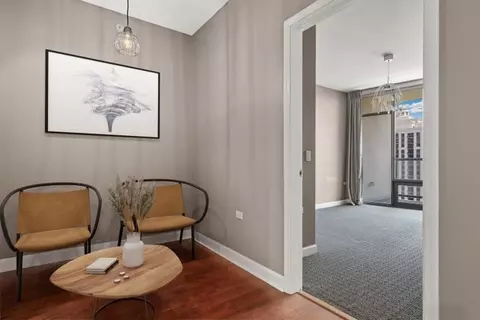 100 E 14th St #1302, Chicago, IL 60605 photo 16