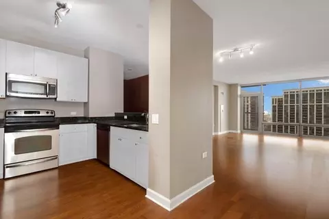 100 E 14th St #1302, Chicago, IL 60605 photo 8