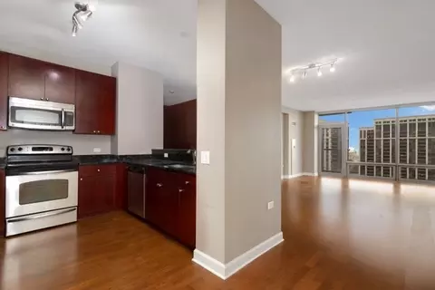 100 E 14th St #1302, Chicago, IL 60605 photo 7