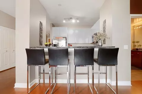 100 E 14th St #1302, Chicago, IL 60605 photo 6