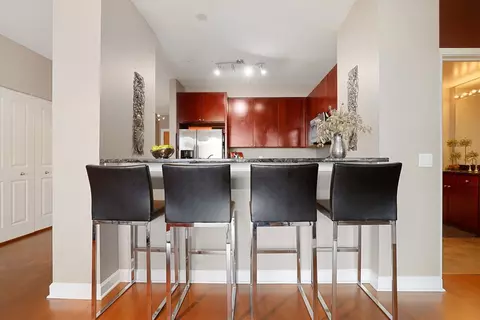 100 E 14th St #1302, Chicago, IL 60605 photo 5