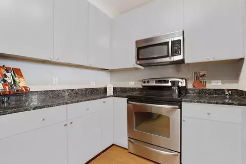 100 E 14th St #1302, Chicago, IL 60605 photo 12