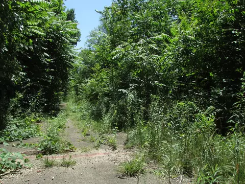 708 Ave E, Rock Falls, IL 61071 photo 3
