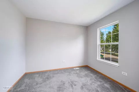 4212 Dillon St, Plano, IL 60545 photo 21