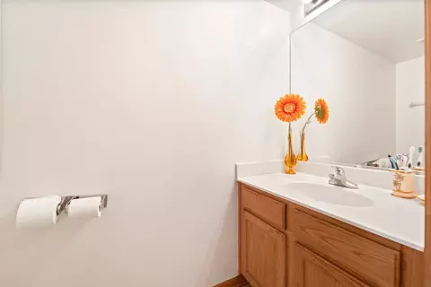 20918 W Boulder Dr, Plainfield, IL 60544 photo 9