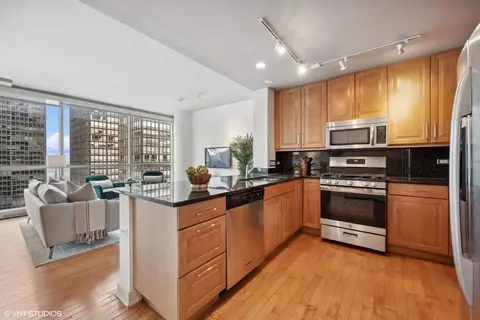 250 E Pearson St #1104, Chicago, IL 60611 photo 6