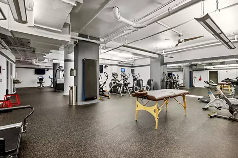 250 E Pearson St #1104, Chicago, IL 60611 photo 19