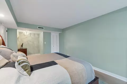 201 E Chestnut St #9D, Chicago, IL 60611 photo 10
