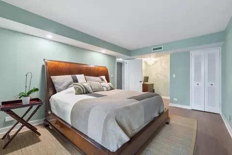 201 E Chestnut St #9D, Chicago, IL 60611 photo 9