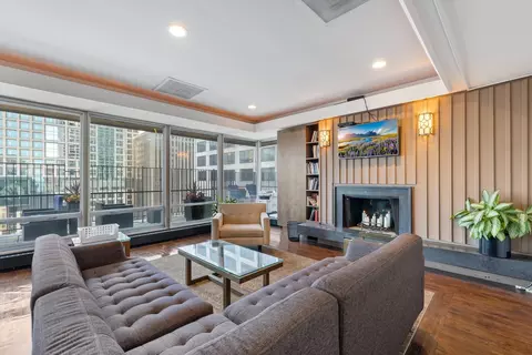 201 E Chestnut St #9D, Chicago, IL 60611 photo 19