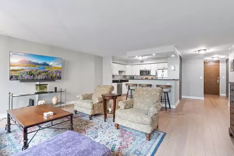 201 E Chestnut St #9D, Chicago, IL 60611 photo 3