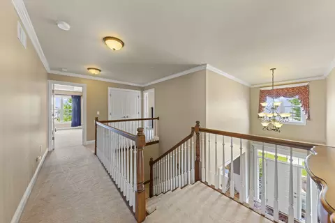 16443 Harmon Ln, Plainfield, IL 60586 photo 20