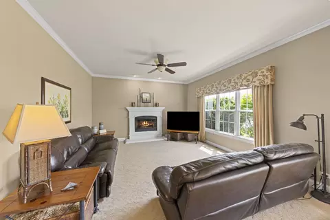 16443 Harmon Ln, Plainfield, IL 60586 photo 16