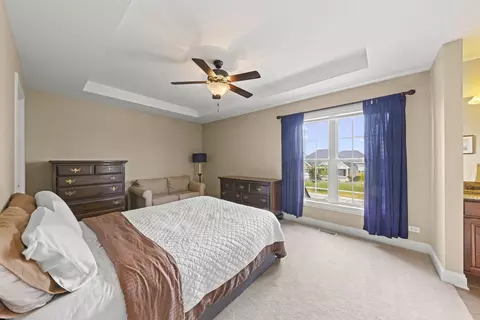 16443 Harmon Ln, Plainfield, IL 60586 photo 23