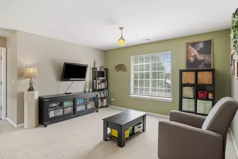 1436 Sedge Pass, Minooka, IL 60447 photo 13