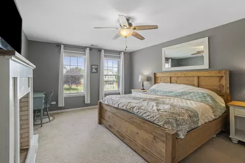 1436 Sedge Pass, Minooka, IL 60447 photo 18