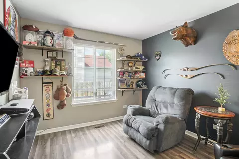 1436 Sedge Pass, Minooka, IL 60447 photo 27