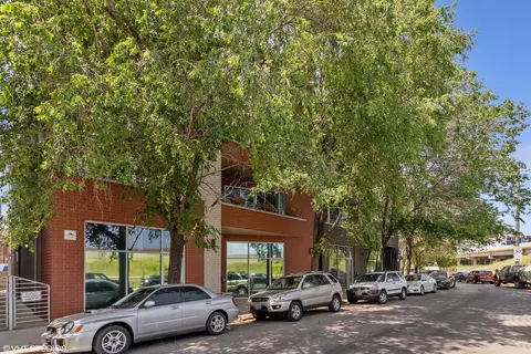 1642 N Bosworth Ave #4S, Chicago, IL 60622