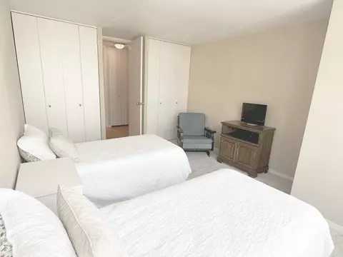 360 E Randolph St #1007, Chicago, IL 60601 photo 14