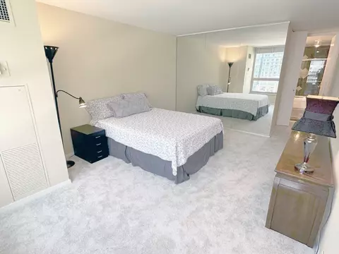 360 E Randolph St #1007, Chicago, IL 60601 photo 17