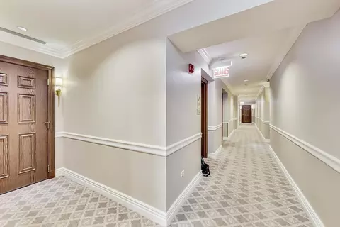 Entry Way - 21 E Huron St #4103, Chicago, IL 60611 photo 3 of 8