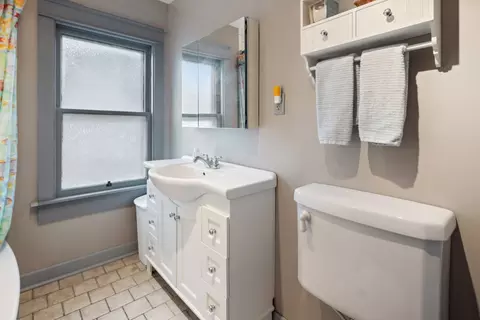 20 E Pine Ave, Roselle, IL 60172 photo 18