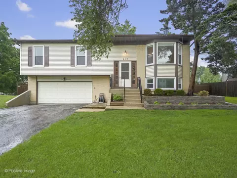 117 E Robinhood Way, Bolingbrook, IL 60440