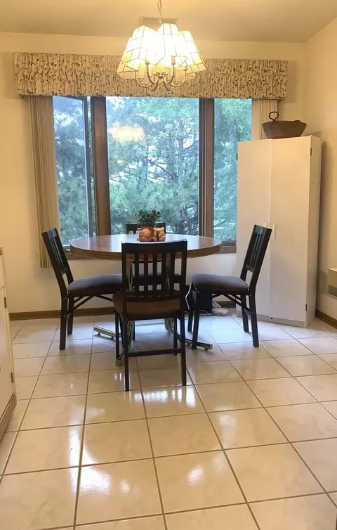 9725 Mill Ct E #E2, Palos Park, IL 60464 photo 9