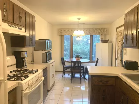 9725 Mill Ct E #E2, Palos Park, IL 60464 photo 8