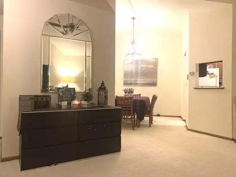 9725 Mill Ct E #E2, Palos Park, IL 60464 photo 5