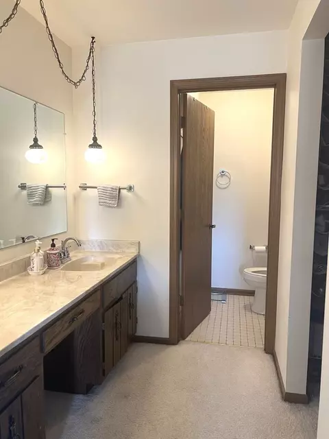 9725 Mill Ct E #E2, Palos Park, IL 60464 photo 13