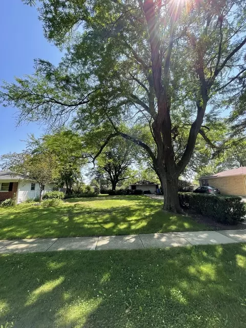 1203 S Robert Dr, Mount Prospect, IL 60056