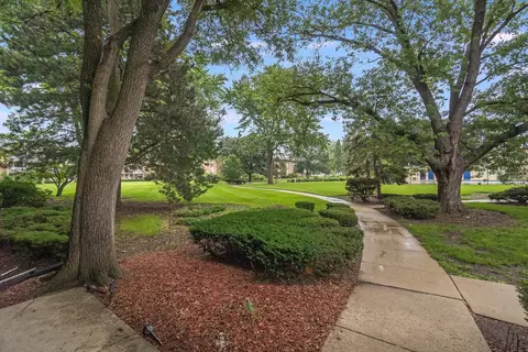 930 Beau Dr #209, Des Plaines, IL 60016 photo 14