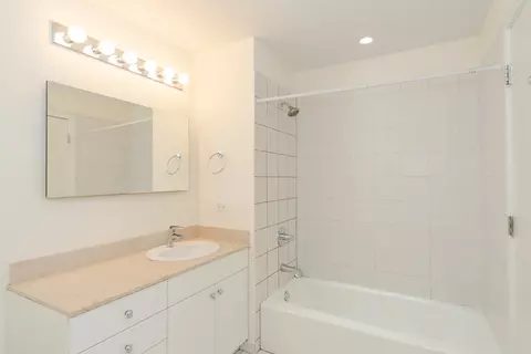 8 E Randolph St #1806, Chicago, IL 60601 photo 20