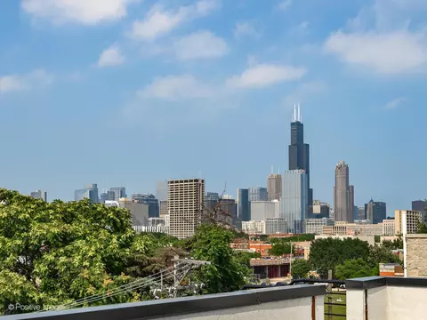 1314 W Grenshaw St #B, Chicago, IL 60607 photo 25