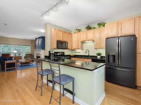 1314 W Grenshaw St #B, Chicago, IL 60607 photo 7