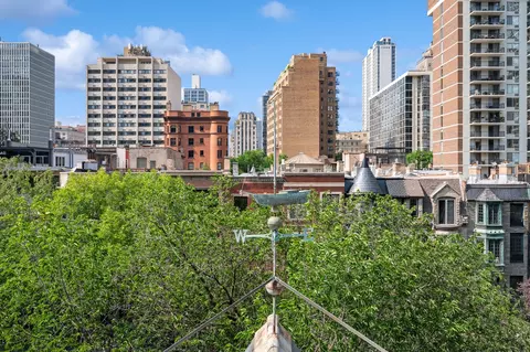 47 Elm St, Chicago, IL 60611 photo 11
