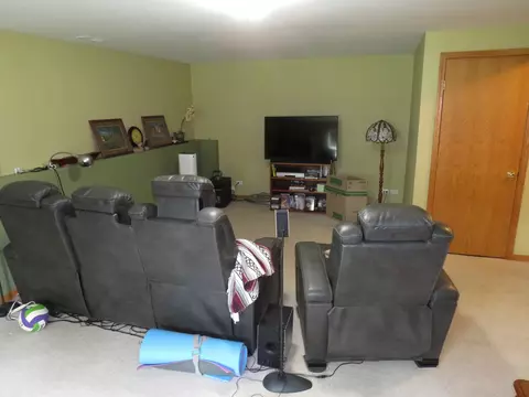 792 Cottage Ct, Morris, IL 60450 photo 21