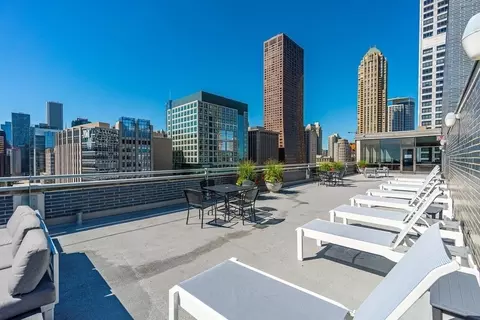 222 E Pearson St #1604, Chicago, IL 60611 photo 22