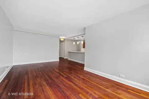 222 E Pearson St #1604, Chicago, IL 60611 photo 4