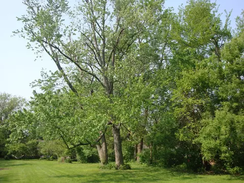 622 E Main St, Amboy, IL 61310 photo 5