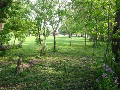 622 E Main St, Amboy, IL 61310 photo 19