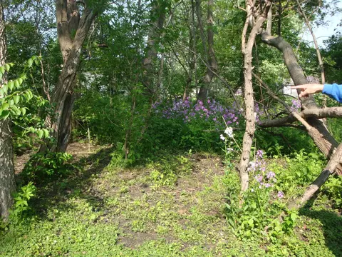 622 E Main St, Amboy, IL 61310 photo 13