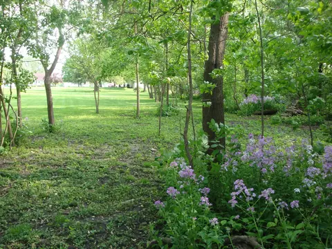 622 E Main St, Amboy, IL 61310 photo 20