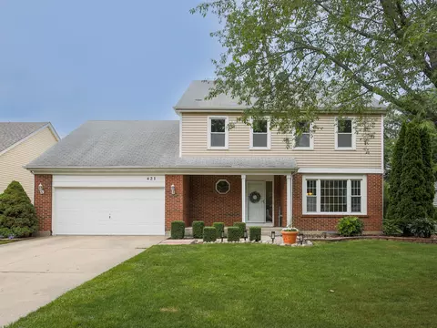 421 S Cedar Ct, Buffalo Grove, IL 60089