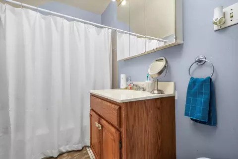 4615 S Keeler Ave, Chicago, IL 60632 photo 29