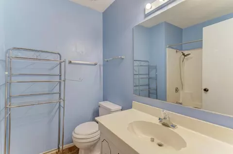 28 Willow Rd, Matteson, IL 60443 photo 19