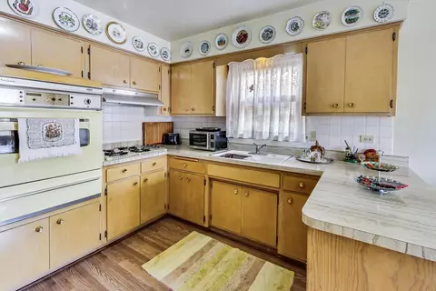 11152 S Ewing Ave, Chicago, IL 60617 photo 5